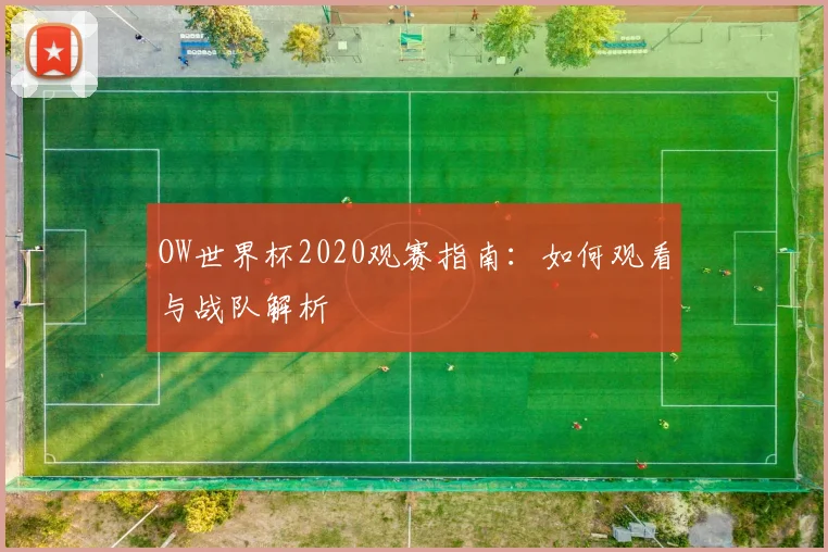 OW世界杯2020观赛指南:如何观看与战队解析
